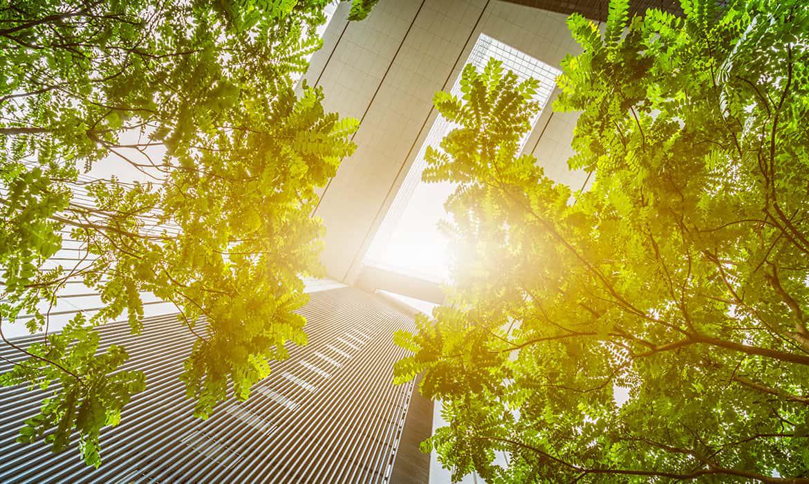  Tecnologia e sustentabilidade: destaques na construção civil