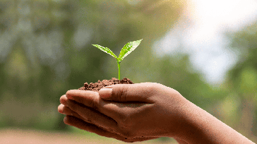 2026-com-foco-em-sustentabilidade