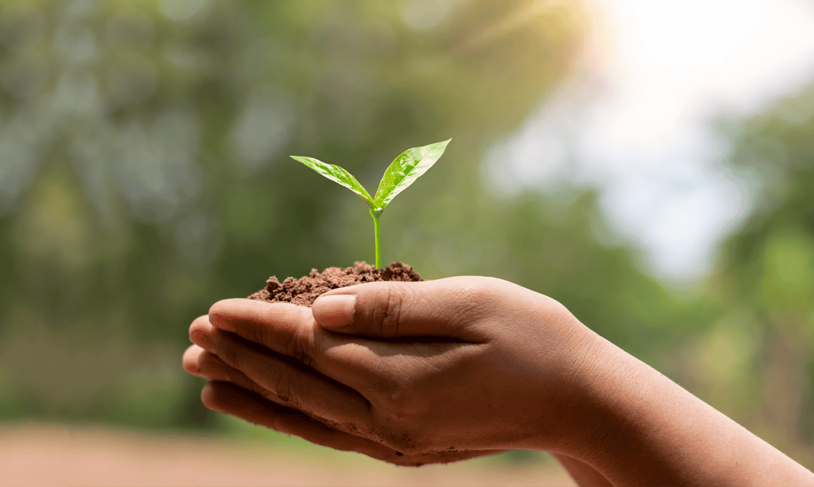 2026-com-foco-em-sustentabilidade