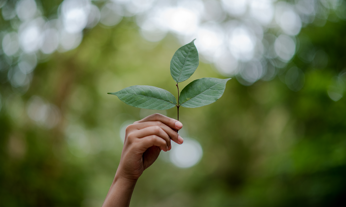 microempresas-de-sucesso-sao-sustentaveis-contadores-cnt